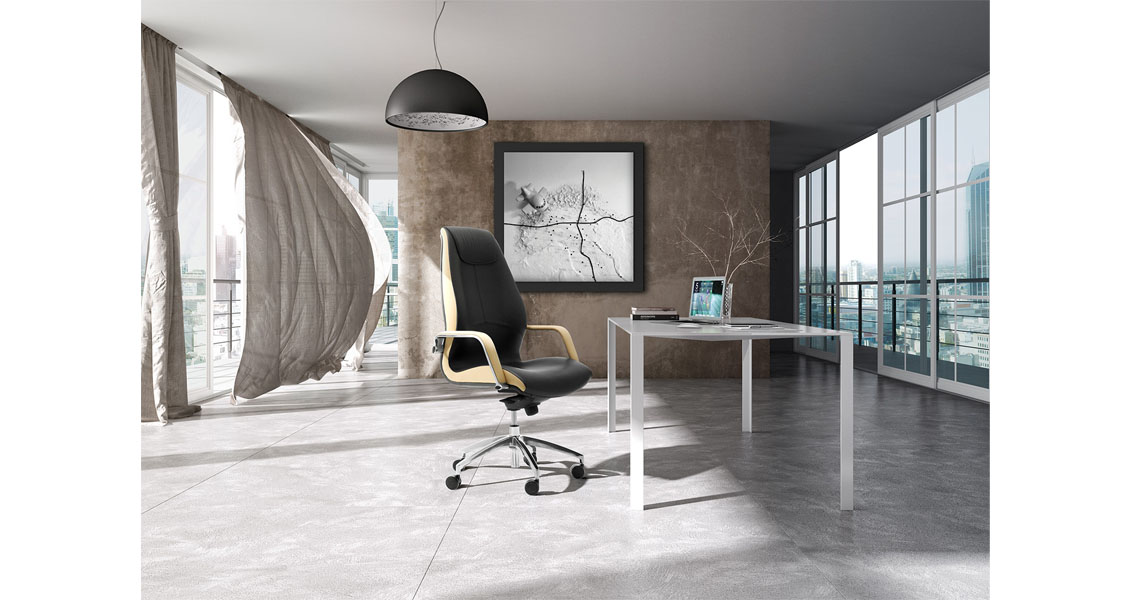 executive-leather-armchair-seating-f-office-img-02
